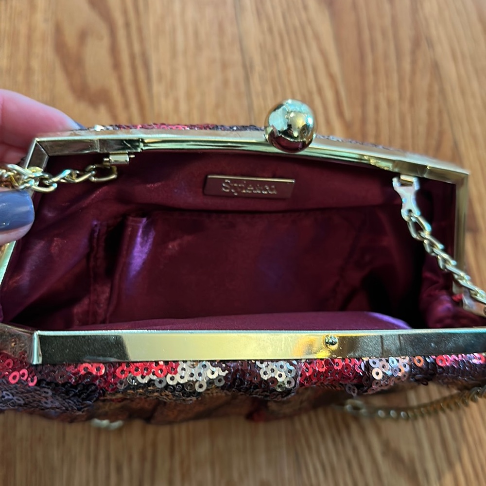 Dressy clutch